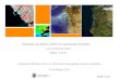 Utilização de dados LiDAR em aplicações florestais · Utilização de dados LiDAR em aplicações florestais Luís Gonçalves Seco ... Aplicações florestais Processamento de