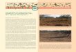 Enquadramento do temasppf.pt/images/trifolia/TRIFOLIA_4_2013.pdf · - A importância das pastagens e forragens na produção de alimentos; - As plantas da família das leguminosas