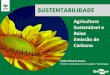 Agricultura Sustentأ،vel e Baixa Emissأ£o de Carbono Ano 1 Ano 2 Ano 3 Ano 4 Ano 5 Ano 6 A ... 2016