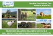 Humane Farm Animal Care Relatório Anual 2017 · pressionando produtores e criadores em direção a mudanças visando o bem-estar animal. Página 9 A oferta de alimentos para pets