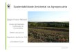 Sustentabilidade Ambiental na Agropecuáriaarquivos.ambiente.sp.gov.br/portalnovomedia/2013/12/V_epbio_cass… · Tendência para 2050-População: 3 bilhões mais;- Aumento renda