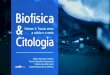Biofísica & a célula e o meio Volume 2: Trocas entre Citologia · 2019. 2. 15. · Nossos sinceros agradecimentos ao Prof. Aziz Kalaf Filho, Diretor da Universidade Paulista - UNIP,