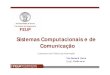 Sistemas Computacionais e de Comunicaçãoci05015/disciplina de SCC/html parte I.pdf · Sistemas Computacionais e de Comunicação Licenciatura em Ciência da Informação Tito Carlos