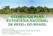 ELEMENTOS PARA ESTRATÉGIA NACIONAL DE REDD+ DO BRASIL · Fundo Amazônia Política Nacional sobre Mudança do Clima Estratégia Nacional de REDD MBRE Plano de Ação para Prevenção