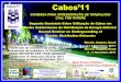 Cabos’11 - Jicable · Cabos’11 CHAMADA PARA APRESENTAÇÃO DE TRABALHOS Segundo Seminário Sobre Utilização de Cabos em Redes Subterrâneas de Distribuição de Energia Elétrica