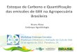 Estoque de Carbono e Quantificação das emissões de GEE na ... de... · Bruno Alves Embrapa Agrobiologia Workshop Embrapa Cerrados Mudanças Climáticas e Avaliação do Ciclo de