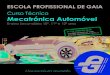 Curso Técnico Mecatrónica Automóvel³nica_Automóvel.pdf · 2017. 1. 26. · O Técnico de Mecatrónica Automóvel (Portaria nº 1312/2006 de 23/19) é o profissional qualificado,