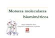 Mt l lMotores moleculares biomiméticos - Unirioja...Microsoft PowerPoint - Charla.pptx Author dsampedr Created Date 12/10/2008 6:25:16 PM 