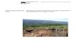 Sílvia Regina Marques Repelência à água em Solos Florestais … · 2012. 9. 6. · A repelência dos solos diminui nos meses de Inverno devido ao maior teor de humidade no solo
