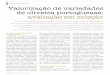 Valorização de variedades de oliveira portuguesas ... · nicas; o Instituto Nacional de Investigação Agrária e Veterinária – UEIS de Recursos Genéticos, Ecofisiologia e Melhoramento