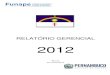 Relatório Gerencial...Relatório Gerencial 2012 4 1 - APRESENTAÇÃO Este relatório apresenta, de forma resumida, as ações desenvolvidas, no ano de 2012, pela Funape – Fundação