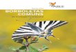 Guia das BORBOLETAS COMUNS - Butterfly Monitoring Guides/Guia das...tes habitats. Deve escolher-se um percurso perto de casa, para que seja mais fácil de visi-tar. As contagens são
