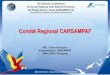 Comité Regional CARSAMPAF · (Santiago de Chile, Republica de Chile, 2003) 3. Objetivos del CARSAMPAF 4. Actividades realizadas por CARSAMPAF 5. Desafíos futuros para Junta Directiva