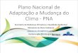 Plano Nacional de Adaptação a Mudança do Clima - PNA · 2016. 10. 4. · 2013 –2015 Articulação e Capacitação Redes GT Adaptação Temáticas MMA/MCTI Relaç. Exteriores