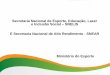 Secretaria Nacional de Esporte, Educação, Lazer e Inclusão Social …estacao.cultura.gov.br/wp-content/uploads/sites/28/2017/... · 2017. 12. 6. · Descentralização da política