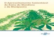 O Aproveitamento Sustentável da Rama da Mandioca e da … Sebrae/UFs/RN... · 2020. 5. 25. · Aproveitar a Rama da Mandioca A parte aérea da mandioca, devido ao seu valor nutritivo