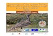 Conservation of the Houbara Bustard (Chlamydotis undulata ... - … LIFE 2007 ingles.pdf · 2012. 5. 7. · SEO/Birdlife maintains a line of action at a national level with regard