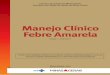 Manejo Clínico Febre Amarela · 2017. 2. 2. · ANEXO 1 - Relação de municípios por Região da área de risco ANEXO 2 – Ficha de investigação Febre Amarela - SINAN ANEXO 3