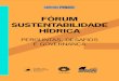 New FÓRUM SUSTENTABILIDADE HÍDRICA · 2017. 4. 5. · SUSTENTABILIDADE HÍDRICA PERGUNTAS, DESAFIOS E GOVERNANÇA Belo Horizonte Fevereiro / 2017 . Universidade Estadual de Campinas
