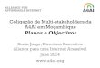 Coligação de Multi-stakeholders da A4AI em Moçambique ...€¦ · Coligação de Multi-stakeholders da A4AI em Moçambique Planos e Objectivos Sonia Jorge, Directora Executiva