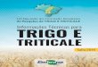 Informações Técnicas para - Embrapa · 240 p. il. color. ; 15,5 cm x 21,5 cm ISBN 978-85-7035-866-0 1. Trigo - Pesquisa - Brasil. 2. Triticum aestivum L. I. Título. CDD: 633.1106081