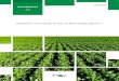 423ainfo.cnptia.embrapa.br/digital/bitstream/item/212422/1/DOC-423.pdf · Apresentação Atualmente a soja é cultivada em aproximadamente 36 milhões de hectares, ... O Capítulo