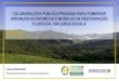 COLABORAÇÕES PÚBLICO-PRIVADAS PARA FOMENTAR … · governamental e obtinham renda da floresta (~13% ... 1- Fomento (AT, insumos, PSA), 2- monitoramento e fiscalização, 3- gestão