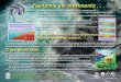 Tsunamis em movimento - Pacific Disaster Centertap.pdc.org/TAPResources/ITIC Poster/tsunami_poster_portuguese_i… · Um tsunami gerado por um sismo local pode atingir a costa em