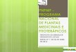 PNPMF PROGRAMA NACIONAL DE PLANTAS MEDICINAIS E …portalarquivos.saude.gov.br/images/pdf/2014/maio/12/...petropolis-2… · •3.3. Desenvolver a produção de plantas medicinais,
