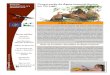 Conservação da Águia-imperial-ibérica em Portugallifeimperial.lpn.pt/files/files/E3 NL4_JANEIRO 2018_LIFE Imperial.pdf · Conservação da Águia-imperial-ibérica (Aquila adalberti)