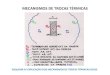MECANISMOS DE TROCAS TÉRMICAS · 2013. 8. 21. · mecanismos de trocas tÉrmicas esquema p/ explicaÇÃo dos mecanismos de trocas tÉrmicas secas