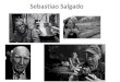 Sebastiao Salgado - savignanoscuole.it€¦ · Sálgado . Title: Sebastiao Salgado Author: Utente Created Date: 2/6/2017 11:09:27 PM