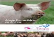 Abate Humanitário de Suínos€¦ · Para mais informações e atualizações consulte nosso site: A WSPA – Sociedade Mundial de Proteção Animal elaborou e patrocinou a produção