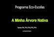 A Minha Árvore Nativaaedpacheco.pt/.../Preview/A_Minha_Arvore_Nativa2.pdf · Álbum de fotografias Author: Margarida Rodrigues Created Date: 7/16/2020 10:23:28 AM 