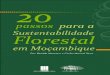  · 20 Passos para a Sustentabilidade Florestal em Moçambique (...) As gerações futuras, da mesma forma que as anteriores, hão-de precisar de madeiras, decerto em maior quantidade
