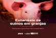 Eutanásia de suínos em granjasainfo.cnptia.embrapa.br/digital/bitstream/item/204606/1/final9301.pdf · 4. Overdose anestésica Sangria Monitoramento dos procedimentos de eutanásia