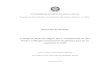 Dissertação de Mestrado Avaliação da adição de colágeno ... · Programa de Pós-Graduação em Engenharia Metalúrgica, Materiais e de Minas Dissertação de Mestrado Avaliação