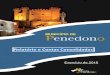 Relatório e Contas Consolidadas - Município de Penedonocm-penedono.pt/wp-content/uploads/2017/06/... · de 1 de julho, os documentos de prestação de contas consolidadas constituem