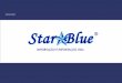 Apresentaçãostarblue.com.br/APRESENTAÇÃO_STAR BLUE.pdf · Apresentação. Importação é o processo comercial e fiscal que consiste em trazer um bem, que ... MA ZB 10x50 Parafuso