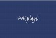 PACplag i - UOCblogs1.uoc.es/escripturailectura/files/2012/05/manual-us-pacplagi.pdf · PACPlagi 03.527 - Dret processal I (20111) Registre de plagi Consulta de's indicis de còpia