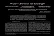 Uma Brachycephalus (a , Brachycephalidae estado do r de J · Ferro, Morro Azul, município de Engenheiro Paulo de Frontin, Estado do Rio de Janeiro, coletado em 21 de agosto de 1987