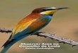 Observar Aves no Concelho de Loulé - altehostel.pt · no intuito de observar e fotografar as diferentes espécies de aves. Os ricos e variados valores natu-rais e paisagísticos