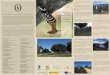observar aves Rutas para - Parque Natural Tajo ...turismoruraleljiniebro.com/public/images/sites/1246-extra-4325.pdf · observar aves en la Ver aves en la Mancomunidad Sierra de San