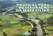 AREAarea.org.br/page/baixar/livro-praticas-restauracao-mata-ciliar-pdf.pdf · Created Date: 9/14/2012 3:50:51 PM