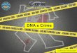 DNA e Crime - UFPel€¦ · Ferramenta indispensável em investigação criminal (20 anos) ... Estabelecer uma conexão entre esta pessoa e a cena do crime. Resultados da determinação