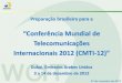 “Conferência Mundial de Telecomunicações Internacionais ... · Esforços do governo em prol do alívio tributário no setor de telecom • Melhor opção para setor de telecomunicações: