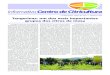 New Cordeirópolis, Maio de 2017 • Número 264 Tangerinas: um dos …ccsm.br/wp-content/uploads/2017/06/INFORMATIVO_CCSM_05... · 2017. 6. 20. · Circuito das Águas (COOPCIAG),