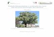 RL 18.32 Estudo fitossanitário e avaliação do risco das ... · RL 18.32 Estudo fitossanitário e avaliação do risco das árvores do Parque do Calvário - Penafiel - Luís Miguel