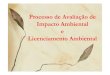 Processo de Avaliação de Impacto Ambiental Licenciamento …cursos.unipampa.edu.br/.../2011/03/Aula-Licenciamento.pdf · 2013. 10. 29. · de EIA Processo se iniciaria com RAP,