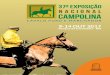9-14 OUT 2017 - Associação Campolinacampolina.org.br/exponacional2017/PDF/pre.pdfCavalo Campolina a partir do Ano Hípico 2013/14 48 RELAÇÃO DE EXPOSITORES 49 CATÁLOGO DE ANIMAIS